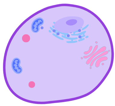 Lectures Cell